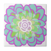 Stor blommande succulent