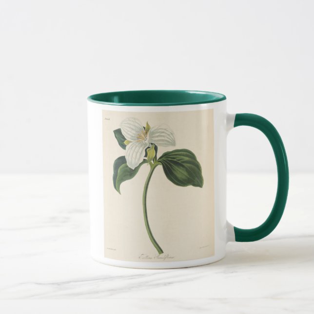 Stor blommig Trillium Mugg (Höger)