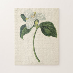 Stor blommig Trillium Pussel