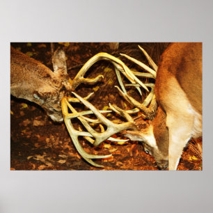 Stor bockstrid poster