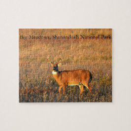 Stor Buck, Big Meadows, Shenandoah Nationalpark Pussel
