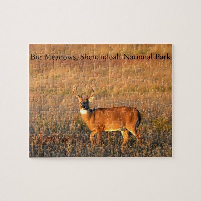 Stor Buck, Big Meadows, Shenandoah Nationalpark Pussel (Horisontell)