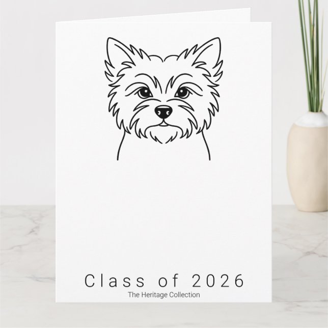 Stor Cairn Terrier Porträtt Examen Kort Klass o (Framsida)