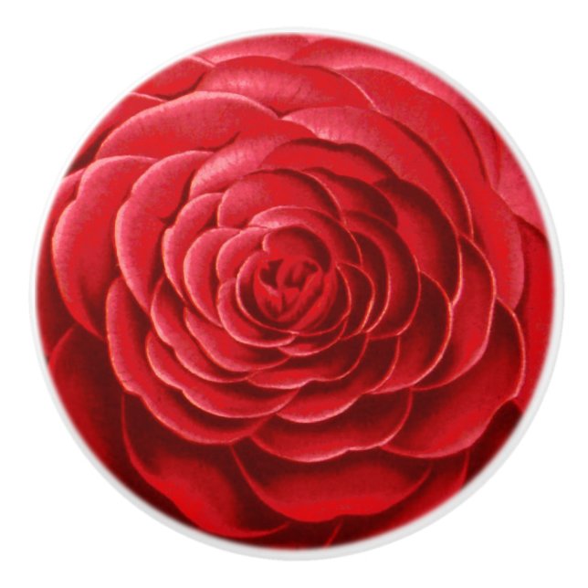 Stor Camellia-Blommar, Deep Red-skuggor Knopp (Framsidan)