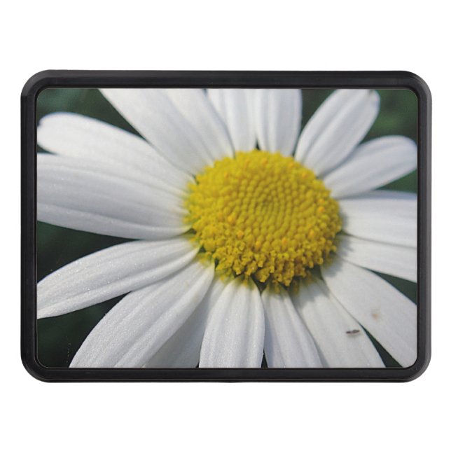 Stor Daisy Dragkroksskydd (Framsidan)