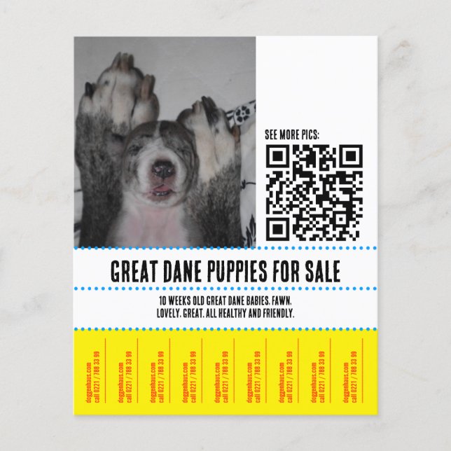 Stor Dansk Puppyförsäljning Flyer (Framsidan)
