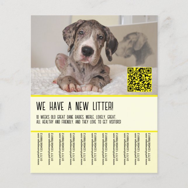 Stor dansk valp till salu -affisch flygblad (Framsidan)