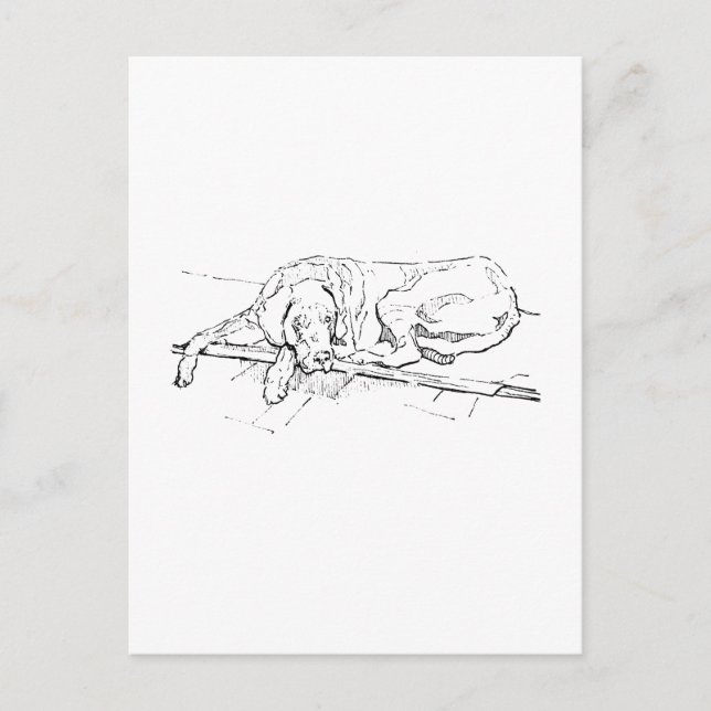 Stor Dansk vykort, bläck hund illustration Vykort (Framsida)