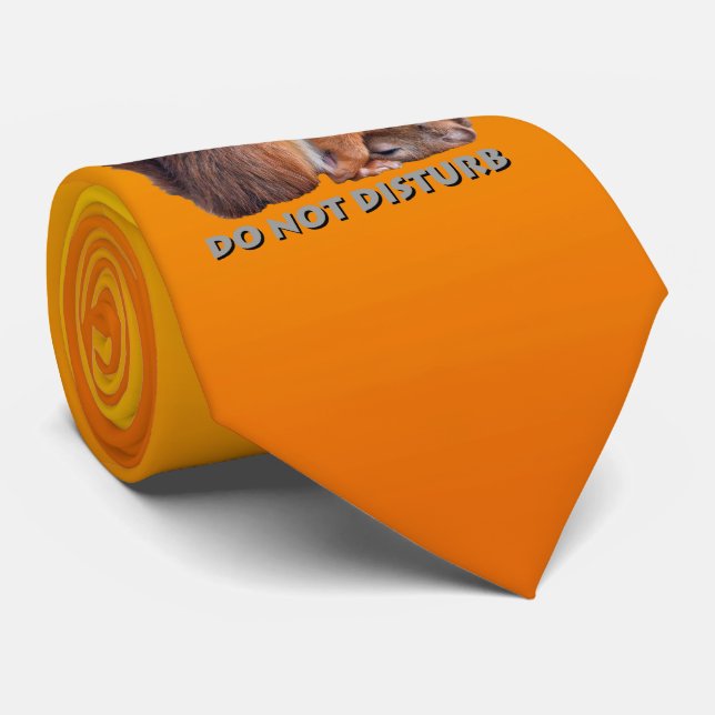 Stör Ej Slip (Gul/Orange) Slips (Rullad)