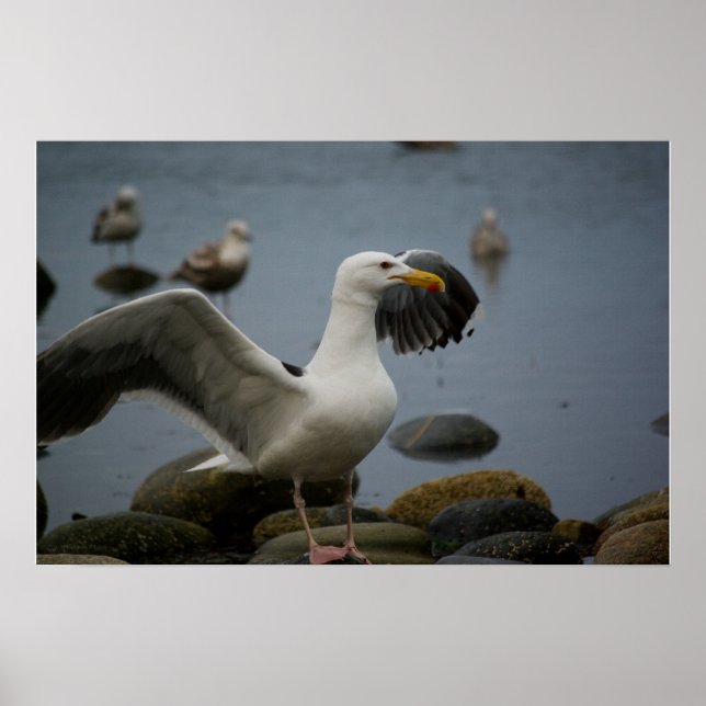 Stör Ej Utskrift Poster (Framsidan)