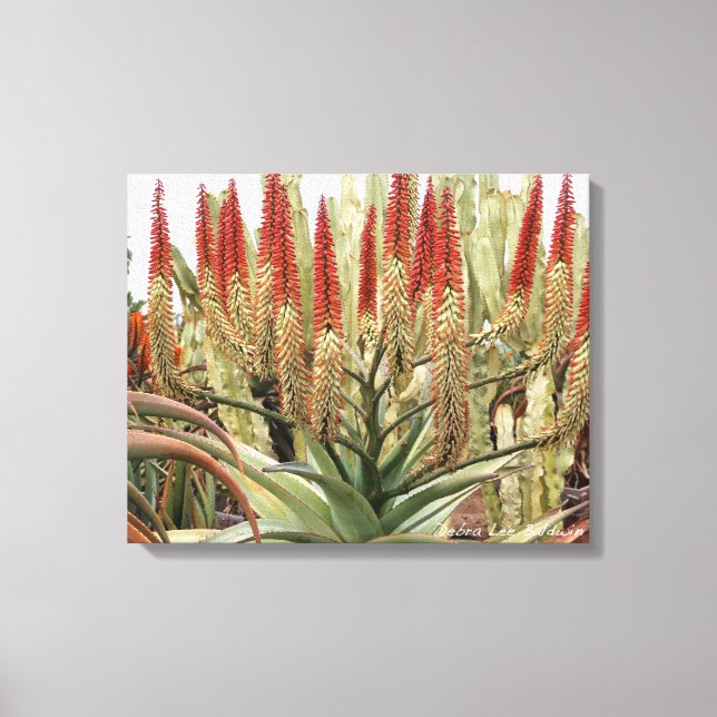 Stor ensam i blomning canvastryck (Framsida)