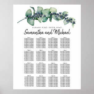 Stor eukalyptus botaniska 16-Bord sätesdiagram Poster