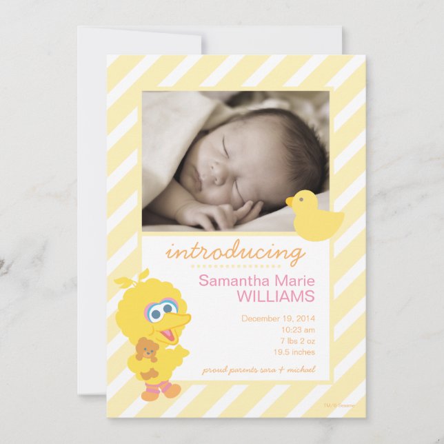 Stor Fågel Födelsekungörelse Meddelande (Framsida)