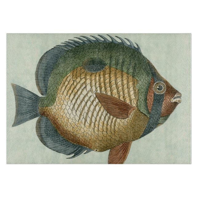 Stor färglös fisk (Framsidan)