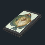 Stor färglös fisk<br><div class="desc">Skaffa den här unika bilden av en stor färglös fisk på nästa produkt. Den här fantastisk av en grönt,  orange,  mörk- och gult fisk kommer att se underbar ut på allt. Ta med dig den här havsinspirerade bilden överallt.</div>