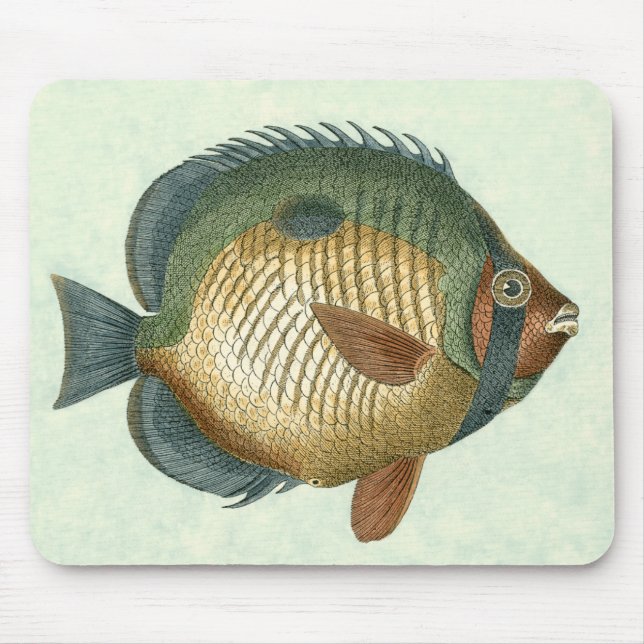 Stor färglös fisk musmatta (Framsidan)