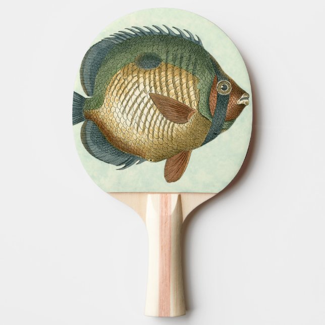Stor färglös fisk pingisracket (Framsidan)