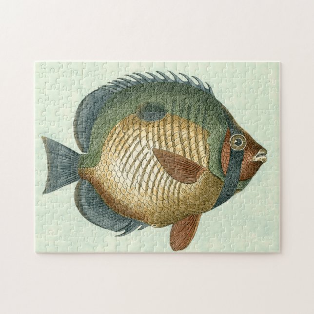 Stor färglös fisk pussel (Horisontell)