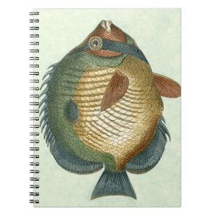 Stor Färgrik Fisk Anteckningsbok