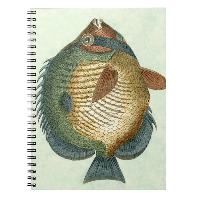 Stor Färgrik Fisk Anteckningsbok (Framsidan)