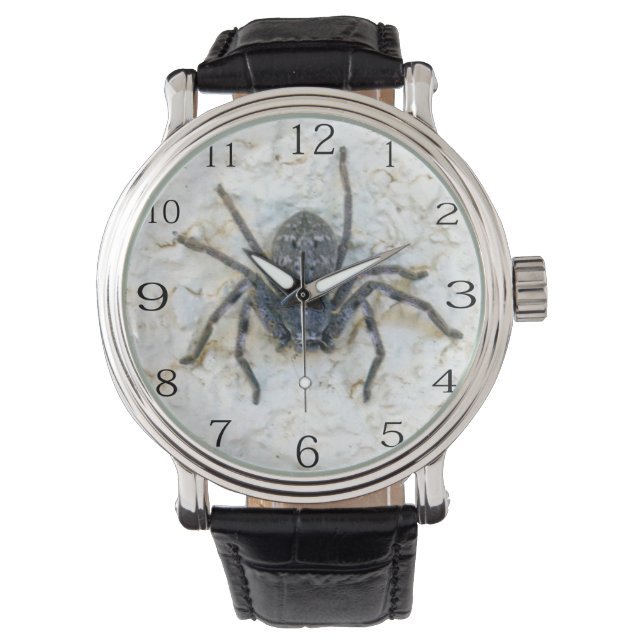 Stor Female Huntsman Spider, Wrist Watch Armbandsur (Framsida)