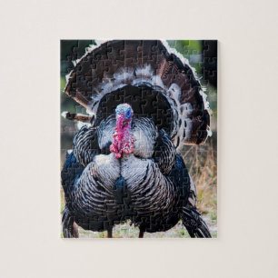 Stor Festive Thanksgiving Turkiet Pussel