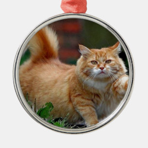 Stor fet orange katt julgransprydnad metall