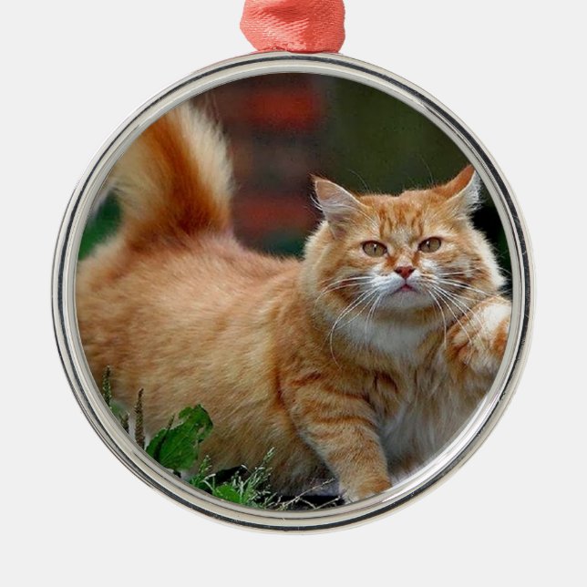 Stor fet orange katt julgransprydnad metall (Framsidan)