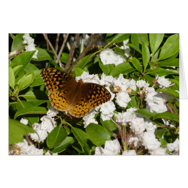 Stor fläckig pärlemorfjäril på Mountain Laurel Hälsningskort (Framsidan Horizontal)