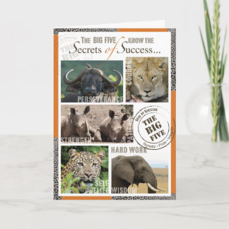 Stor framgång fem kort