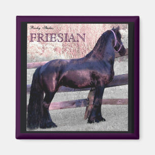 Stor Friesianhästmagnet 2 Magnet
