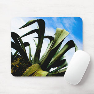Stor giant Grönt Aloe Plant med Bright Blå himmel Musmatta