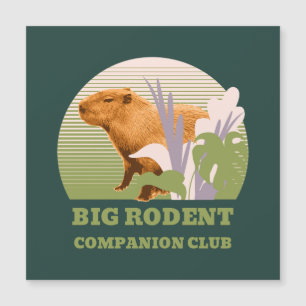 Stor Gnagar Kompis Klubben Capybara