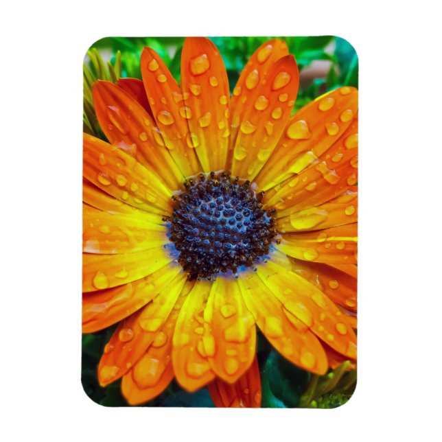 Stor Golden Flower Close Up Magnet (Vertikal)