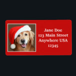 Stor Golden Retriever med Santa Hat Fraktsedel<br><div class="desc">Lägg till lite gulddräkt jultjusning till ditt helgdag i år! Dessa stora returadresser har ett foto av en leende hund för att hämta gulden som bär en röd julhatt. (Se små returetiketter här: http://www.zazzle.com/golden_retriever_with_santa_hat_label-106062125713907918)</div>