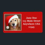 Stor Golden Retriever med Santa Hat Fraktsedel<br><div class="desc">Lägg till lite gulddräkt jultjusning till ditt helgdag i år! Dessa stora returadresser har ett foto av en leende hund för att hämta gulden som bär en röd julhatt. (Se små returetiketter här: http://www.zazzle.com/golden_retriever_with_santa_hat_label-106062125713907918)</div>