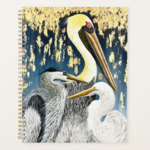 Stor Golden Spiral Planner