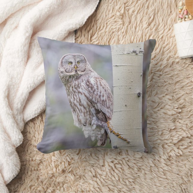 Stor grå asp trädgren kudde (Filt)