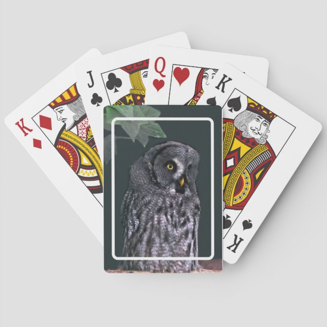 Stor grå uggla casinokort (Baksidan)