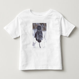 Stor grå uggla nära Pine City MN, T Shirt