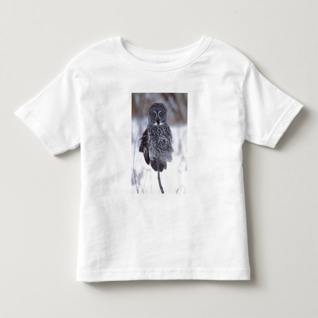 Stor grå uggla nära Pine City MN, T Shirt (Framsida)