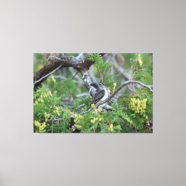 Stor Grått Bird Canvas (Framsida)