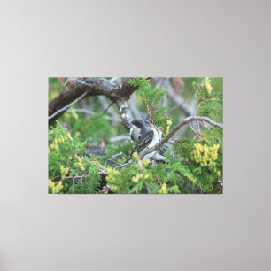 Stor Grått Bird Canvas