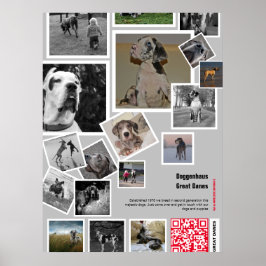 Stor Great Dane-valp till salu Poster