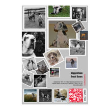 Stor Great Dane-valp till salu