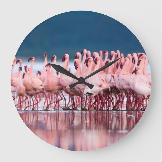 Stor grupp av Lesser Flamingos Klocka (Framsida)