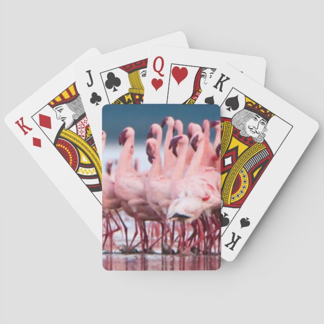 Stor grupp av mindre flamingor spel kort (Baksidan)