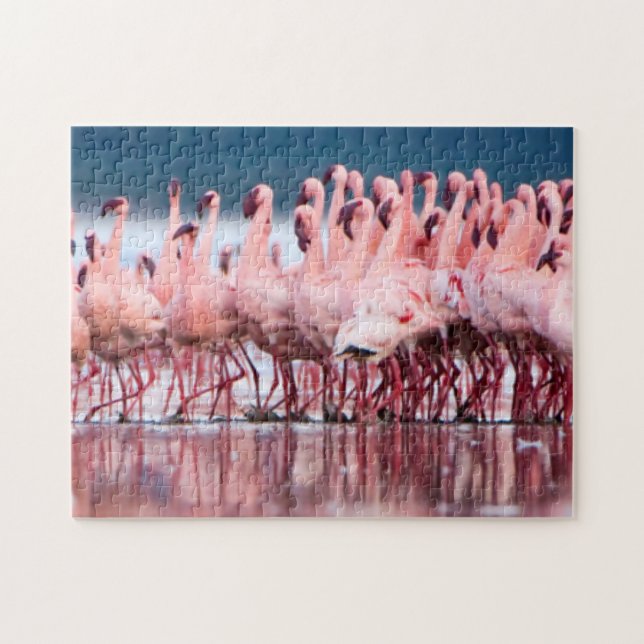 Stor grupp av mindre flamingos pussel (Horisontell)