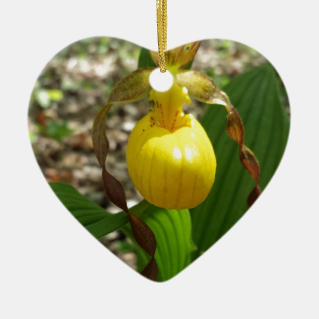 Stor gul Cypripedium för damhäftklammermatare Julgransprydnad Keramik (Framsidan)