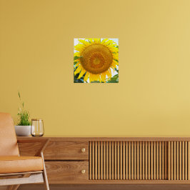 Stor gul solros blom poster
